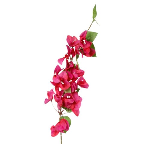 RAMO BOUNGAVILLEA CM.80 FUXIA